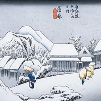Storia Bonsai 3